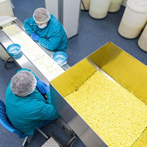 pisos de concreto pulidos en queretaro para la industria alimentaria